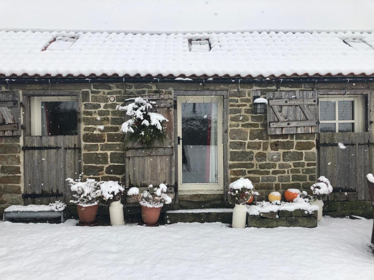 Folly Hall Farm Bed & Breakfast